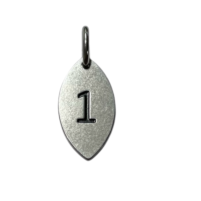 Charm - 1 image 0